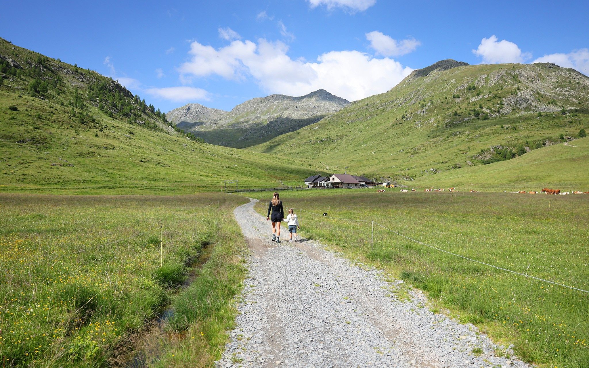 The Malga Trela